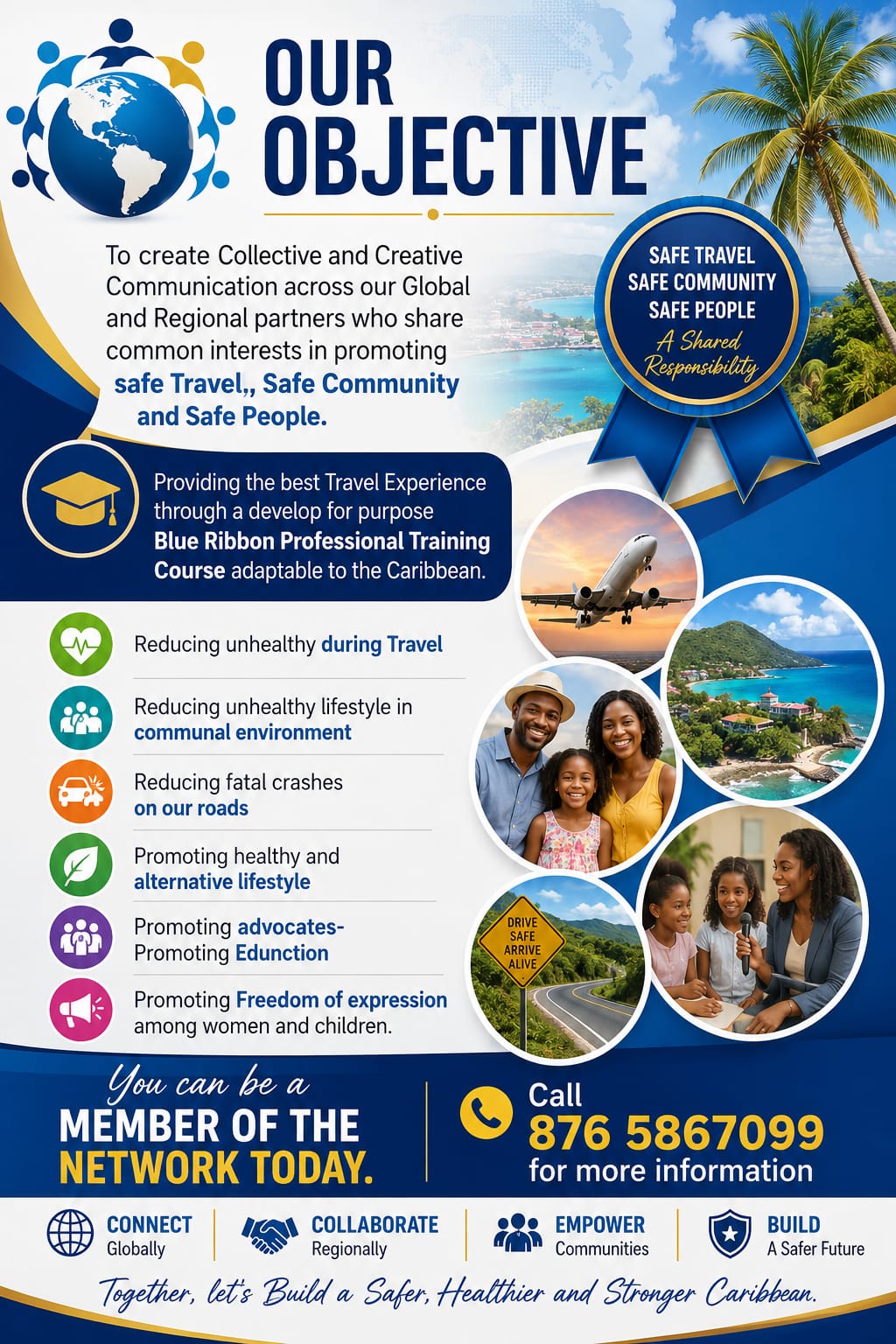 TODSS Our Objective — Safe Travel, Safe Community, Safe People. Blue Ribbon Professional Training Course.