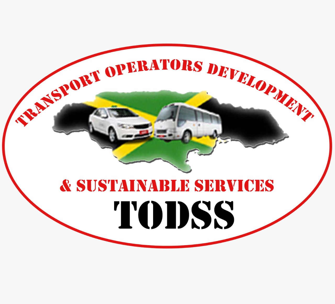 TODSS